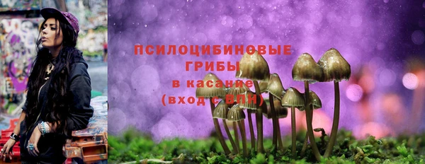 тгк Абинск