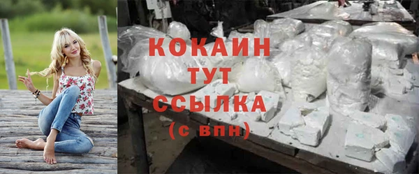 тгк Абинск