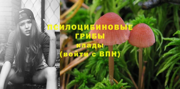 тгк Абинск